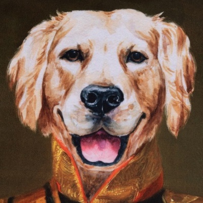 Retrato pintado de um cão Golden Retriever com uniforme militar vermelho e dourado