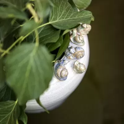 Vaso branco com decoração de caracóis azuis e bege e plantas com folhas verdes