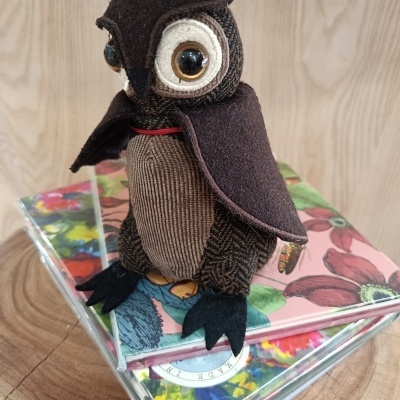 https://www.pinheirobravo.pt/product/pisa-papeis-long-eard-owl-junior-mocho
