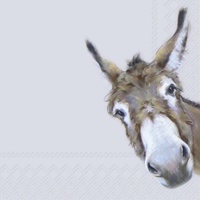 https://www.pinheirobravo.pt/product/guardanapos-de-papel-burro-ihr-2