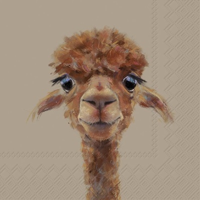 https://www.pinheirobravo.pt/product/guardanapos-de-papel-alpaca-ihr