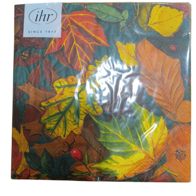 https://www.pinheirobravo.pt/product/guardanapos-de-papel-folhas-outonais-ihr-3