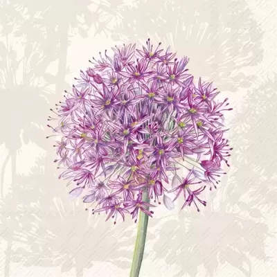 https://www.pinheirobravo.pt/product/guardanapos-de-papel-dente-de-leao-lilas-cocktail-ihr