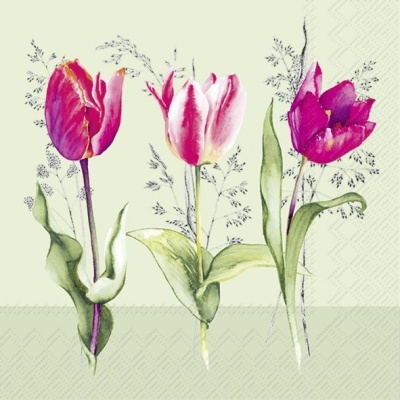 https://www.pinheirobravo.pt/product/guardanapos-de-papel-tulipas-desfolhadas-rosa-choque-cocktail-ihr