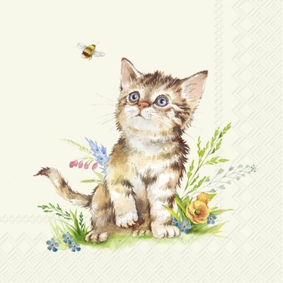 https://www.pinheirobravo.pt/product/guardanapos-de-papel-gatinho-ihr