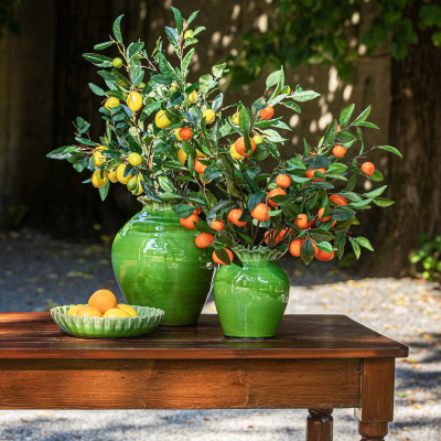Vasos verdes com ramos de frutas e prato com citrinos na mesa de madeira ao ar livre