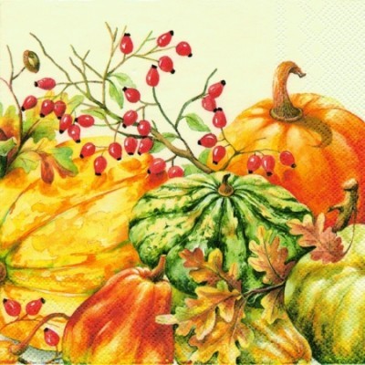 abóboras amarelas, verdes, laranja e frutos vermelhos