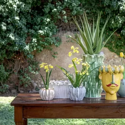 Vasos de cerâmica decorativos com plantas e flores numa mesa de madeira ao ar livre