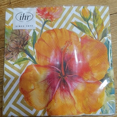 https://www.pinheirobravo.pt/product/guardanapos-de-papel-tropical-hibisco-dourado-ihr