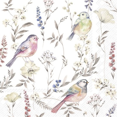 https://www.pinheirobravo.pt/product/guardanapos-de-papel-passarinhos-nas-flores-pastel-ihr