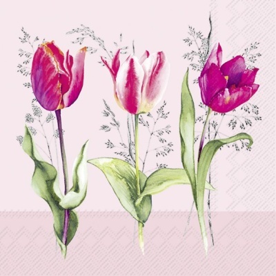 https://www.pinheirobravo.pt/product/guardanapos-de-papel-tulipas-rosa-purpura-ihr