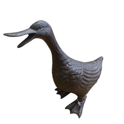 https://www.pinheirobravo.pt/product/pato-de-ferro-pequeno-9-17-16cm