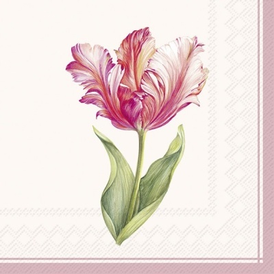 https://www.pinheirobravo.pt/product/guardanapos-de-papel-tulipa-desfolhada-rosa-cocktail-ihr