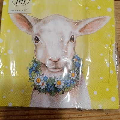 https://www.pinheirobravo.pt/product/guardanapos-de-papel-cordeirinho-com-colar-de-flores-ihr
