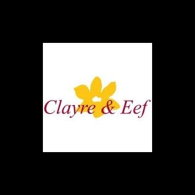 Logótipo Clayre & Eef com flor amarela estilizada