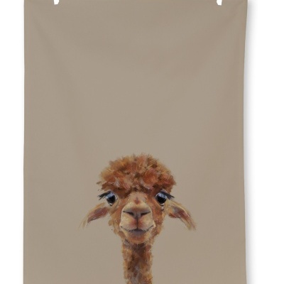 https://www.pinheirobravo.pt/product/pano-de-cozinha-alpaca-50x70-cm-teatowel-ihr