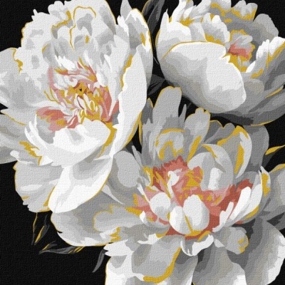 Ilustração de flores brancas com detalhes amarelos e rosa em fundo preto