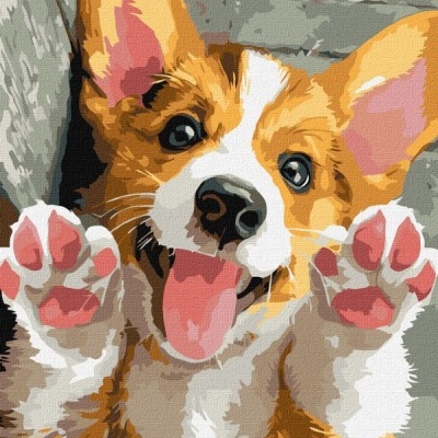 Cão Corgi estilizado com focinho branco e patas levantadas