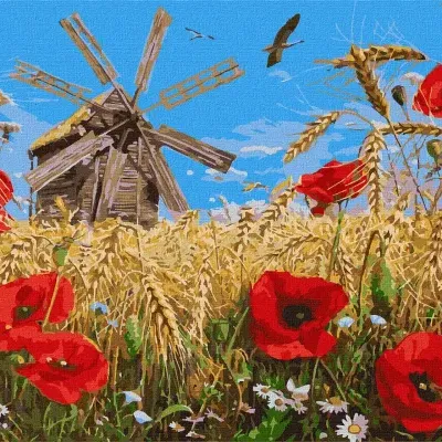 Moinho de vento de madeira num campo de trigo com papoilas vermelhas e flores brancas sob céu azul
