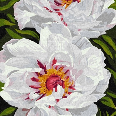 Pintura de flores brancas com folhas verdes