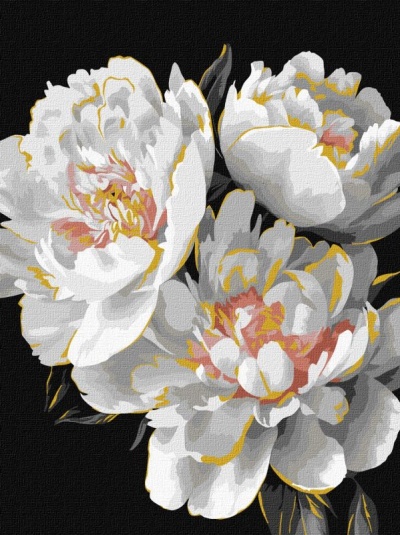 Ilustração de flores brancas com detalhes amarelos e rosa em fundo preto