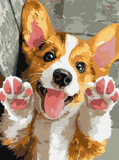 Cão Corgi estilizado com focinho branco e patas levantadas