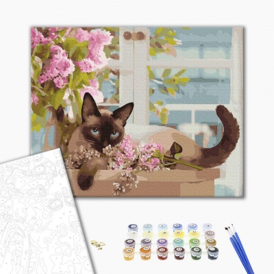 Kit pintura por números gato siamês com flores lilases