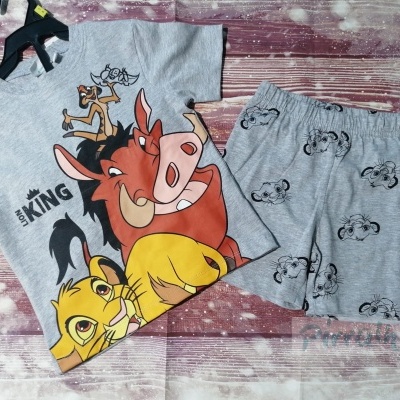 Conjunto infantil com t-shirt e calções cinzentos com personagens do Rei Leão