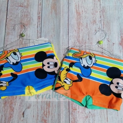 Dois calções de banho infantis com personagens da Disney em cores vibrantes