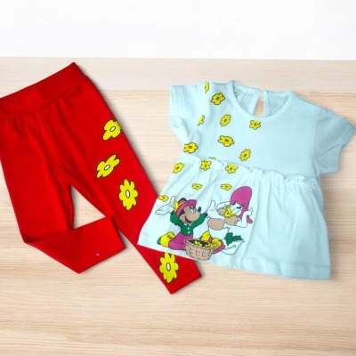 Conjunto infantil azul clara e vermelho com flores amarelas e personagens animados