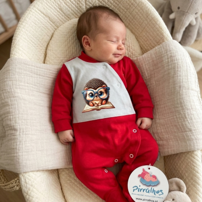 Bebé a dormir com macacão vermelho e branco com estampa de porco-espinho, em almofada bege acolchoada, com brinquedos elefante de peluche cinza
