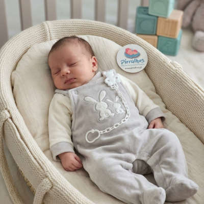 Bebé a dormir num moisés com babygrow cinza e decoração de coelho