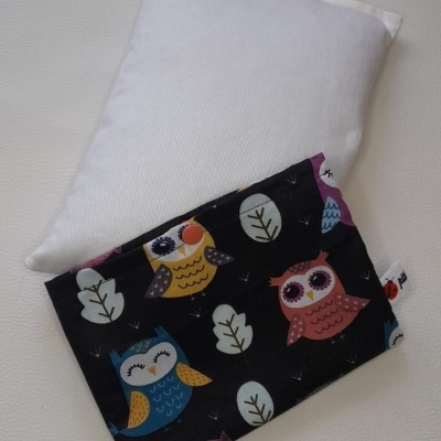 Almofada branca com capa preta de corujas coloridas