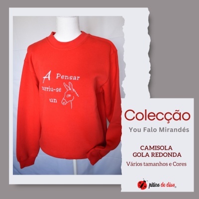 Camisola vermelha de gola redonda com texto e desenho bordados.