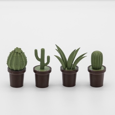 Conjunto de Mini Catos