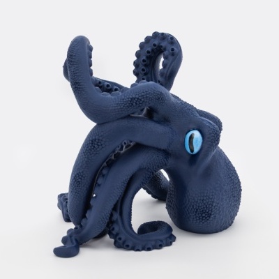 Suporte de Vinho - Polvo