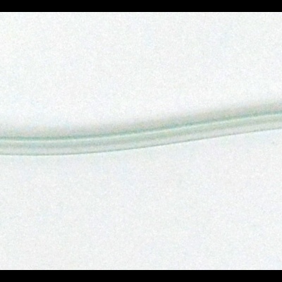 Fundo branco com linha cinza muito fina no meio