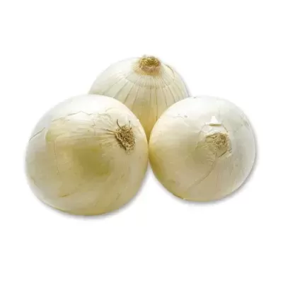 Três cebolas brancas inteiras sobre fundo branco