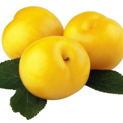 Três ameixas amarelas sobre folhas verdes em fundo branco