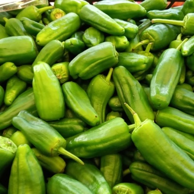 Vários pimentos verdes frescos empilhados num recipiente preto