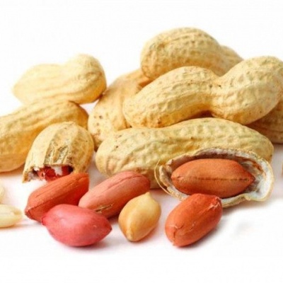 Amendoins com casca e descascados sobre fundo branco