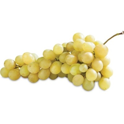 Cacho de uvas verdes com bagos redondos e fundo branco