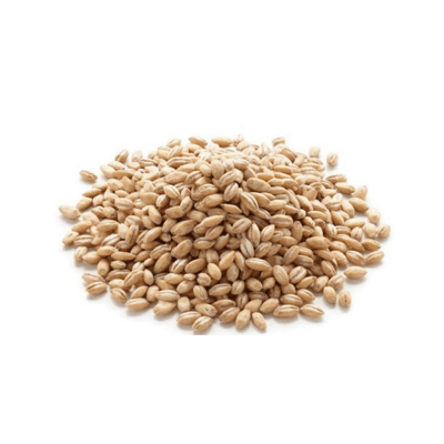 Monte de grãos de cevada bege sobre fundo branco