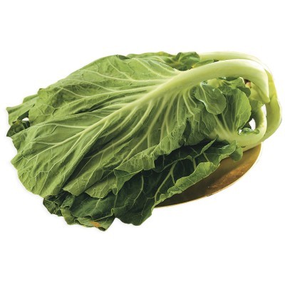 Folhas grandes de couve verdes com caules brancos sobre fundo branco