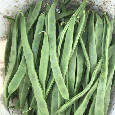 Feijão verde fresco num recipiente branco sujo