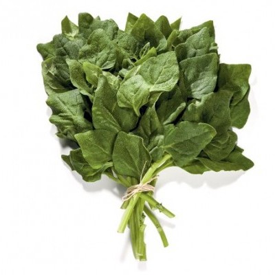 Molho de folhas verdes frescas amarrado com cordel