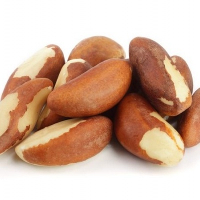 Castanhas do Brasil com casca em fundo branco