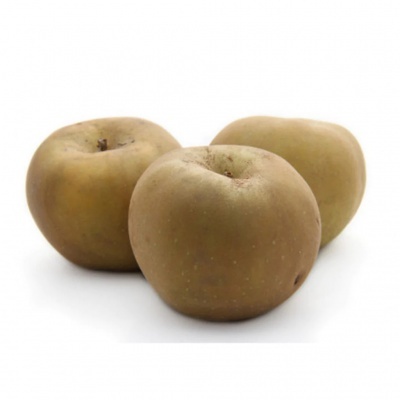 Três maçãs castanhas de pele lisa sobre fundo branco