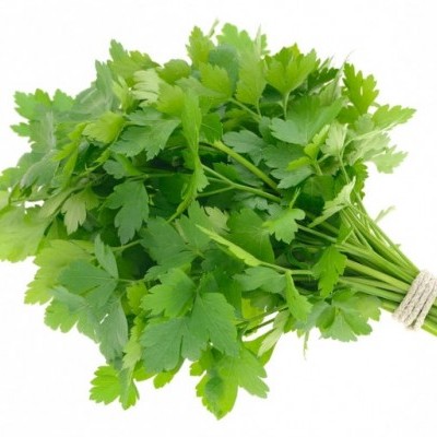 Molho de salsa fresca com folhas verdes e hastes amarradas