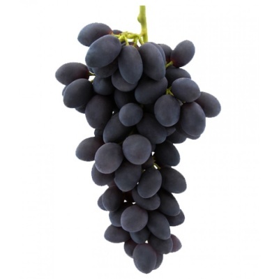 Cacho de uvas pretas com bagos alongados